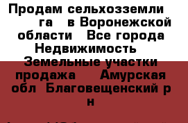 Продам сельхозземли ( 6 000 га ) в Воронежской области - Все города Недвижимость » Земельные участки продажа   . Амурская обл.,Благовещенский р-н